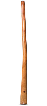 Tristan O'Meara Didgeridoo (TM331)